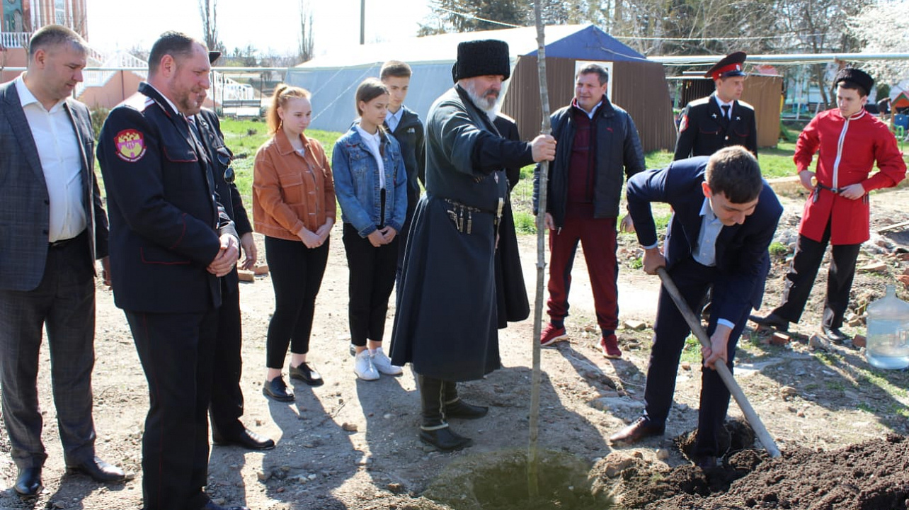 В Пашковском жилом массиве высадили дубовую аллею в честь 75-летия Победы и памяти погибших казаков