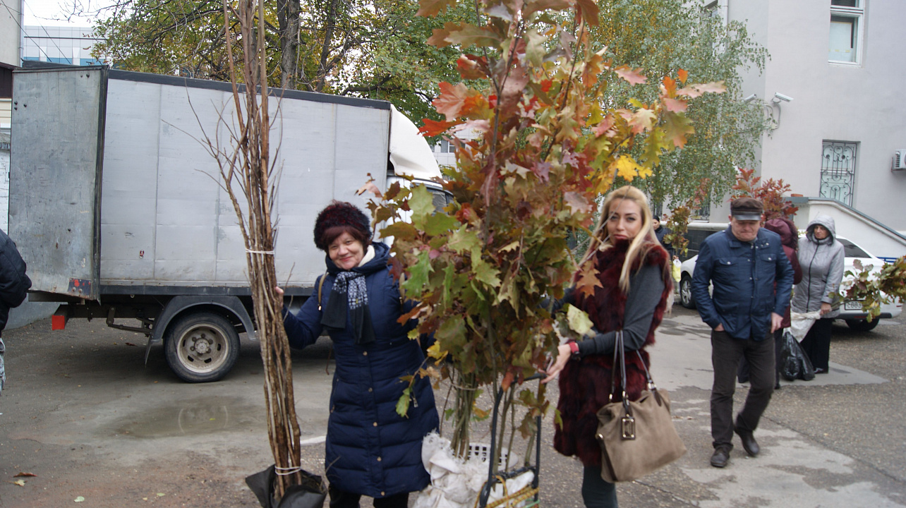 В Западном округе прошла акция «Любишь свой город — посади дерево»