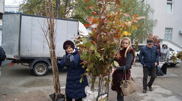 В Западном округе прошла акция «Любишь свой город — посади дерево»