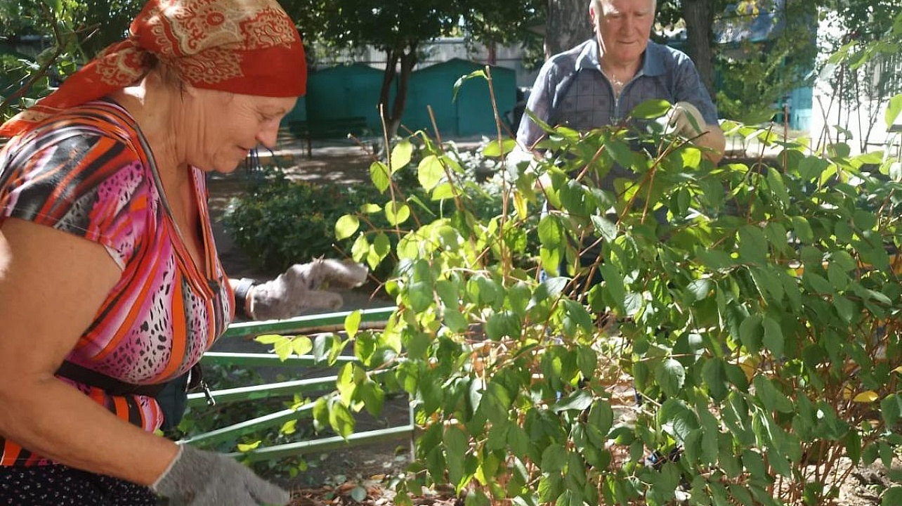 Фото: администрация Центрального округа