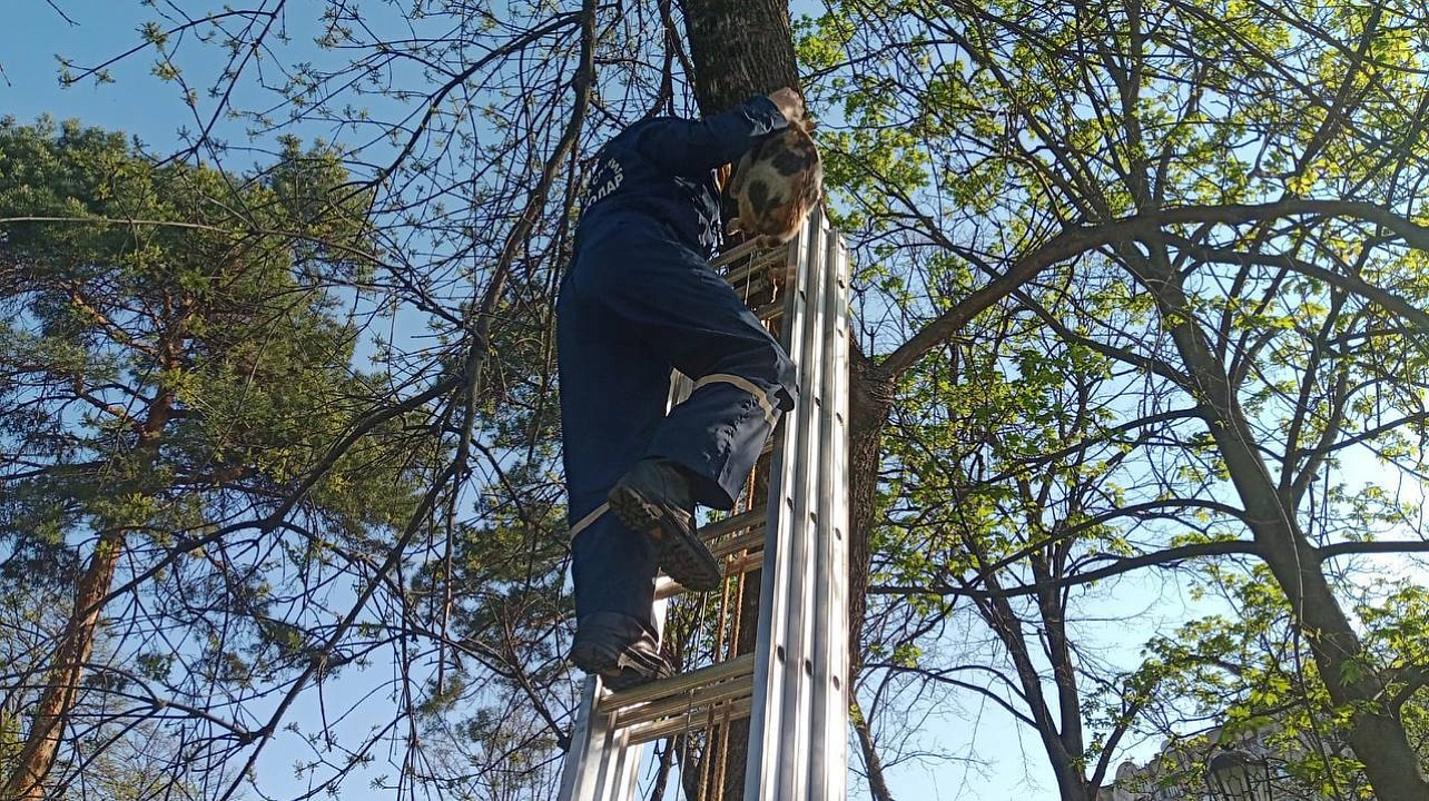 Фото: Пресс-служба администрации Краснодара