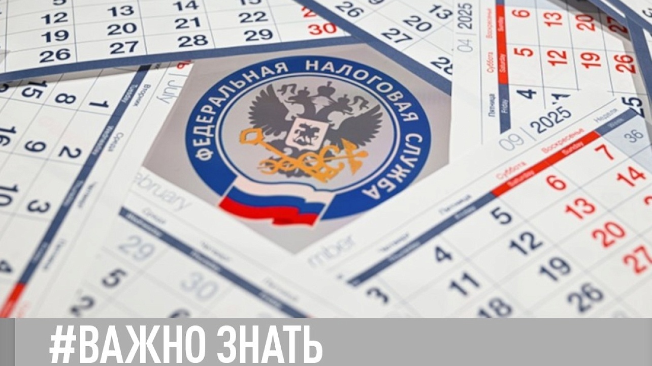 Фото: ИФНС России №4 по городу Краснодару