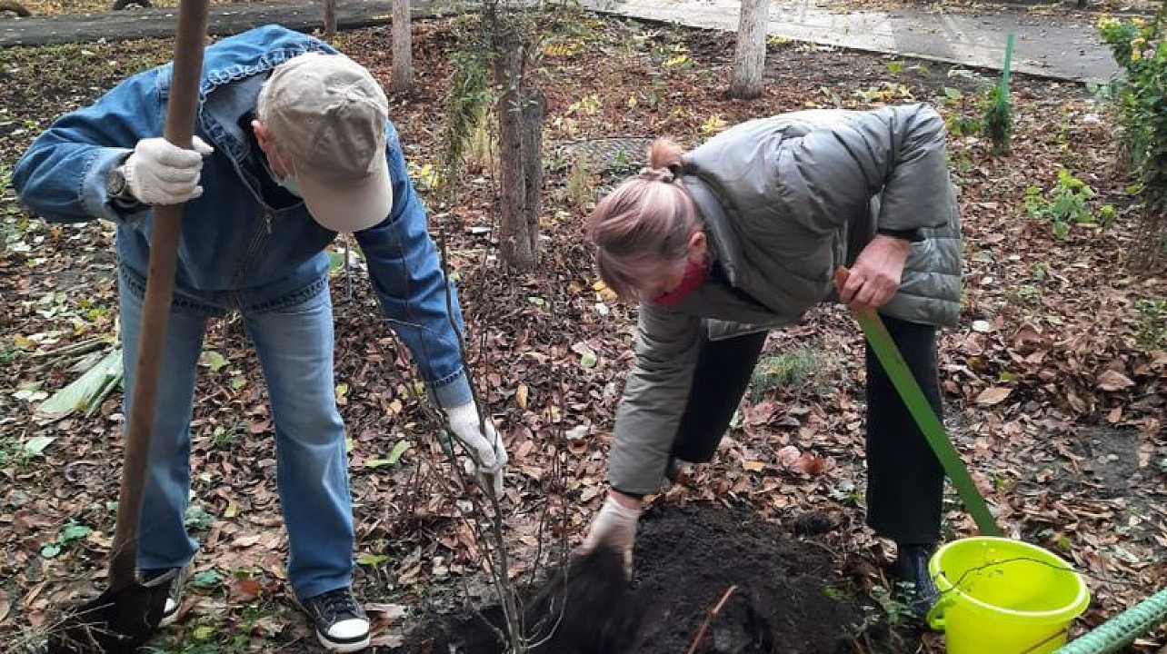 Почти тысяча деревьев и кустарников высажена в Центральном округе