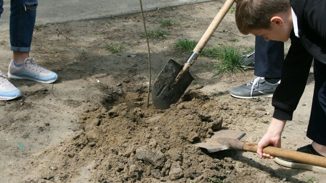 Учащиеся лицея № 64 присоединились к челленджу «Краснодар -10 тысяч деревьев»