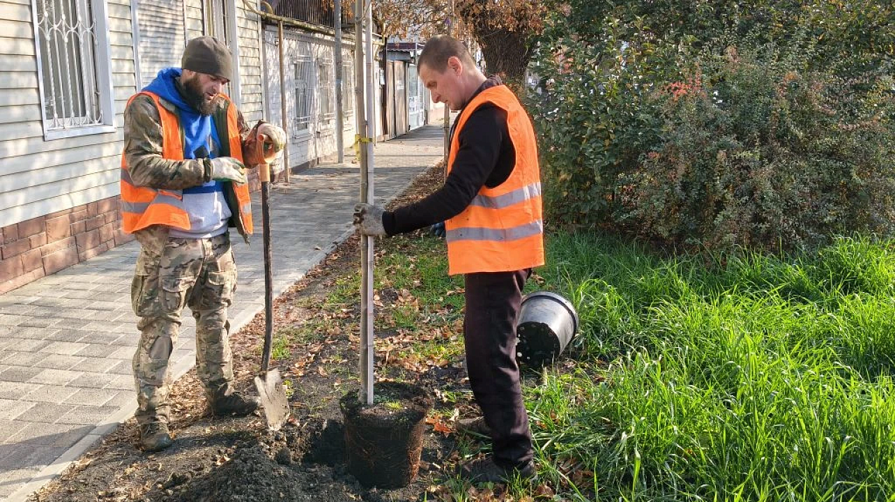 Фото: Пресс-служба администрации Краснодара