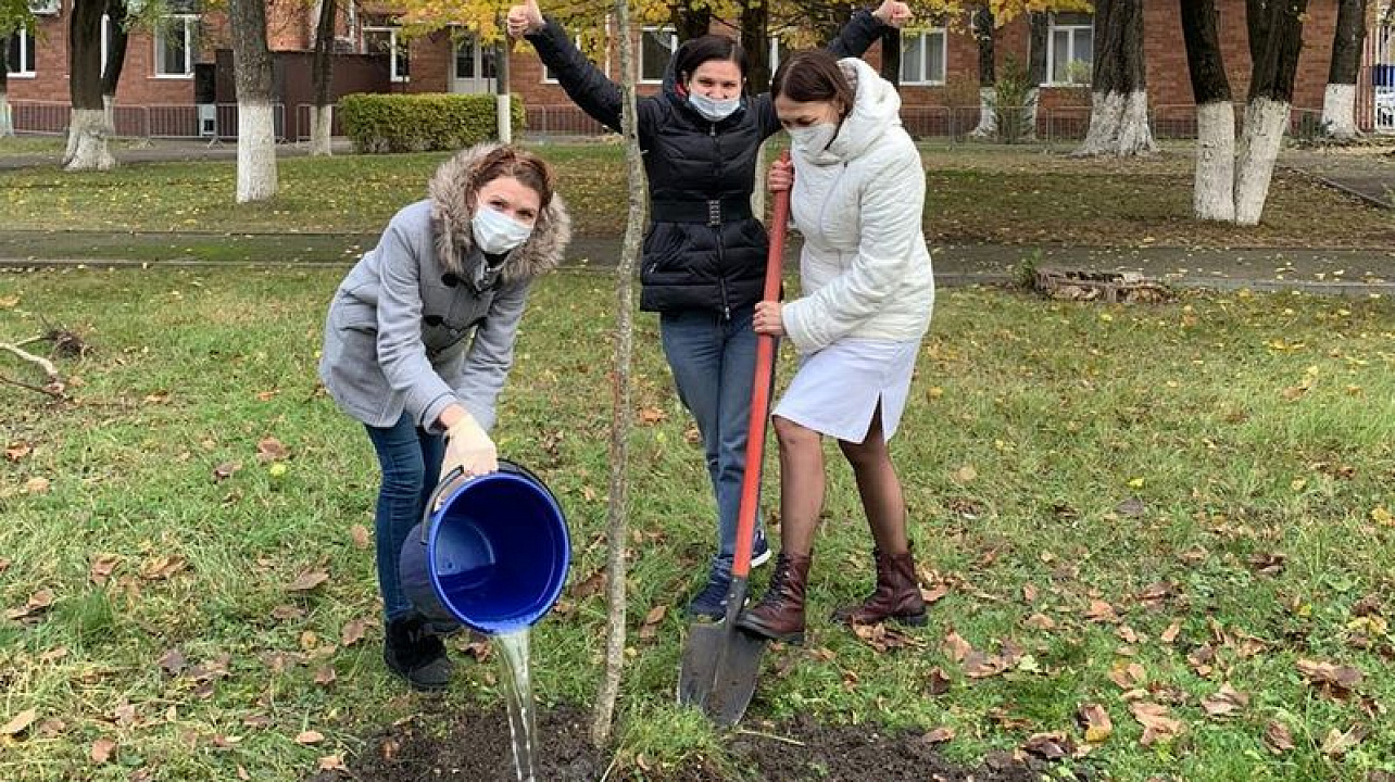 В Центральном округе продолжается акция «Краснодару -10 000 деревьев»