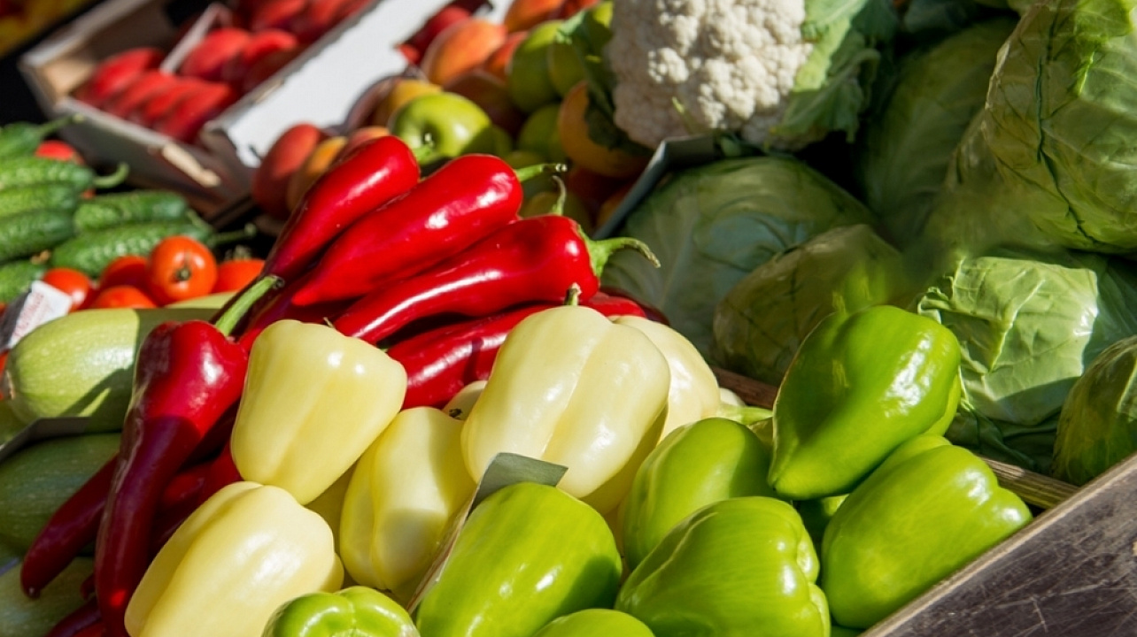 Фермерская продукция из 16 районов края представлена на ярмарках в Краснодаре