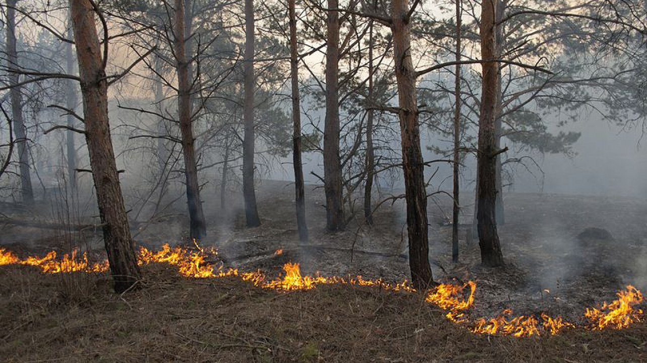 Администрация Западного округа предупреждает