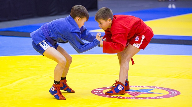 Новороссийск примет всероссийские соревнования по самбо