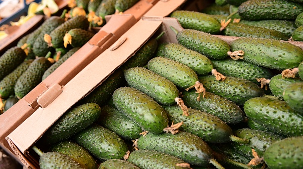 Хрустящие огурчики и ароматные помидоры – на прилавках кубанских фермеров