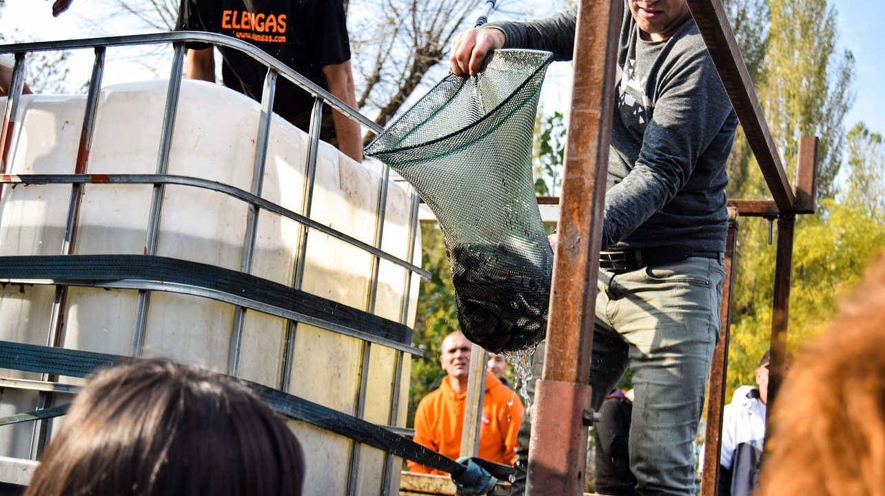 Чистому городу, чистые водоемы