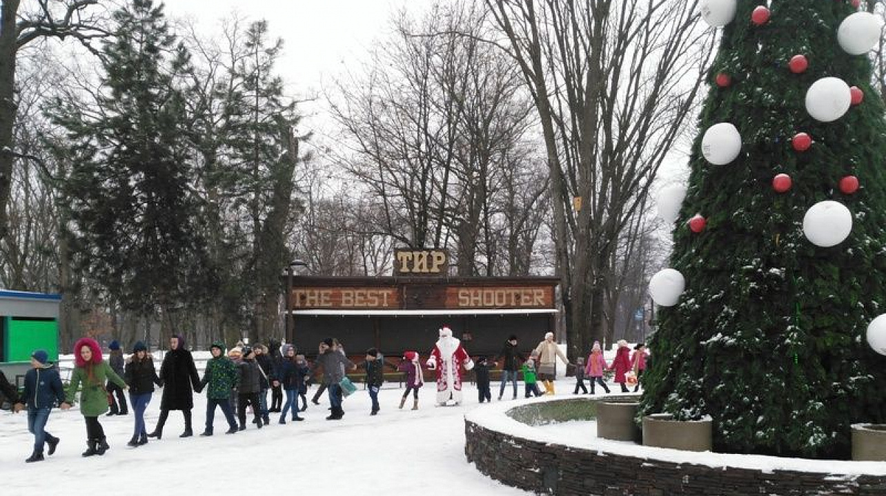 В Центральном округе состоялось торжественное открытие Новогодней елки