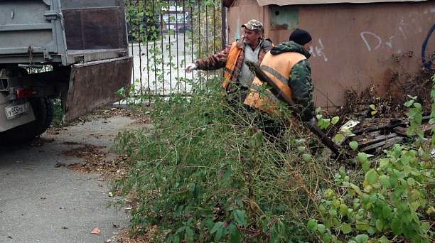 Администрация Западного округа информирует