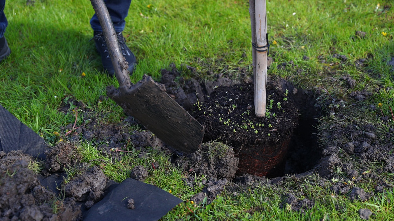 Фото: Станислав Телеховец