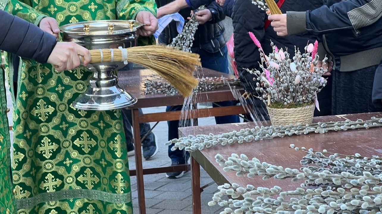 Фото: Пресс-служба администрации Краснодара