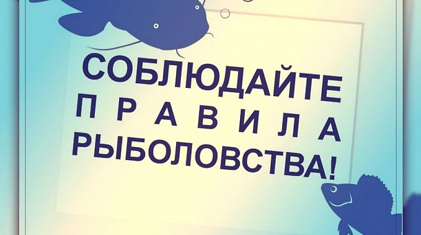 Администрация Западного округа предупреждает об обязательном соблюдении требований законодательства РФ в части реализации водных биологических ресурсов