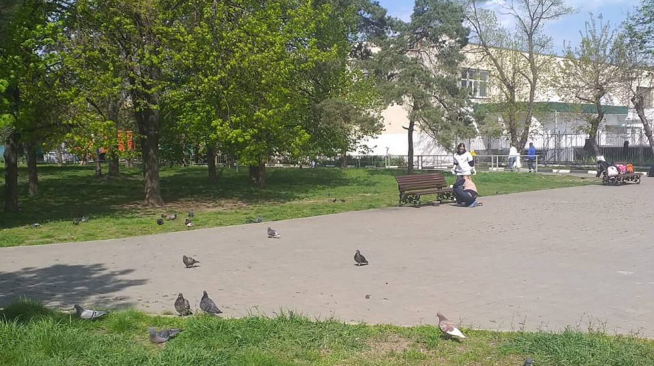 Фото: Администрация Карасунского округа