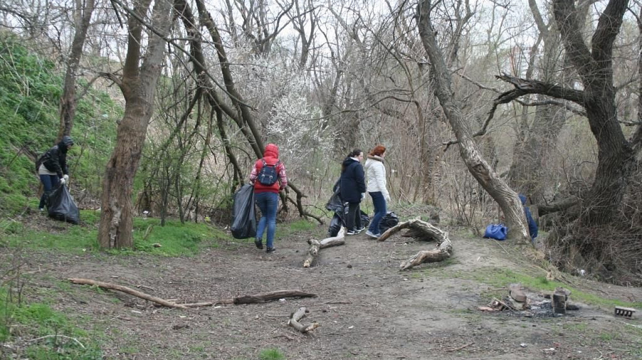 Студенты аграрного университета приняли участие в субботнике на берегу реки Кубань