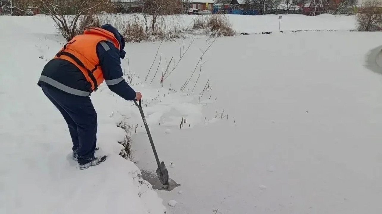 Фото: Пресс-служба администрации Краснодара