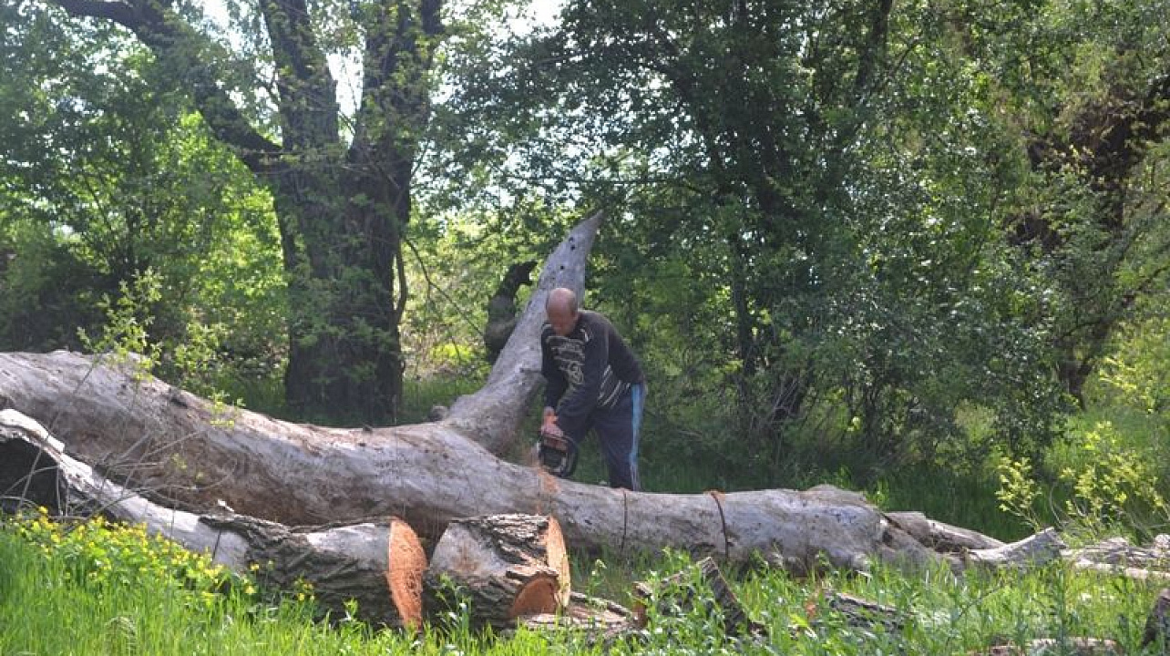 В Центральном округе продолжаются учения по предупреждению ЧС