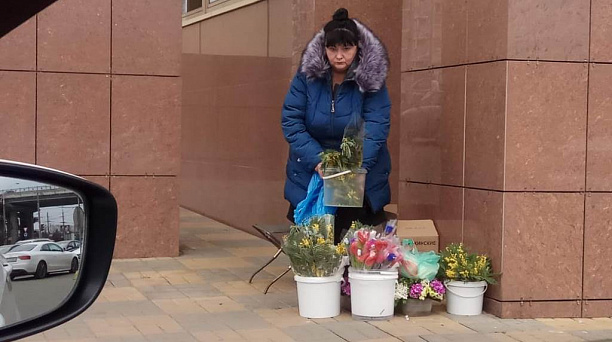 Администрация Западного округа  напоминает о запрете на торговлю краснокнижными растениями