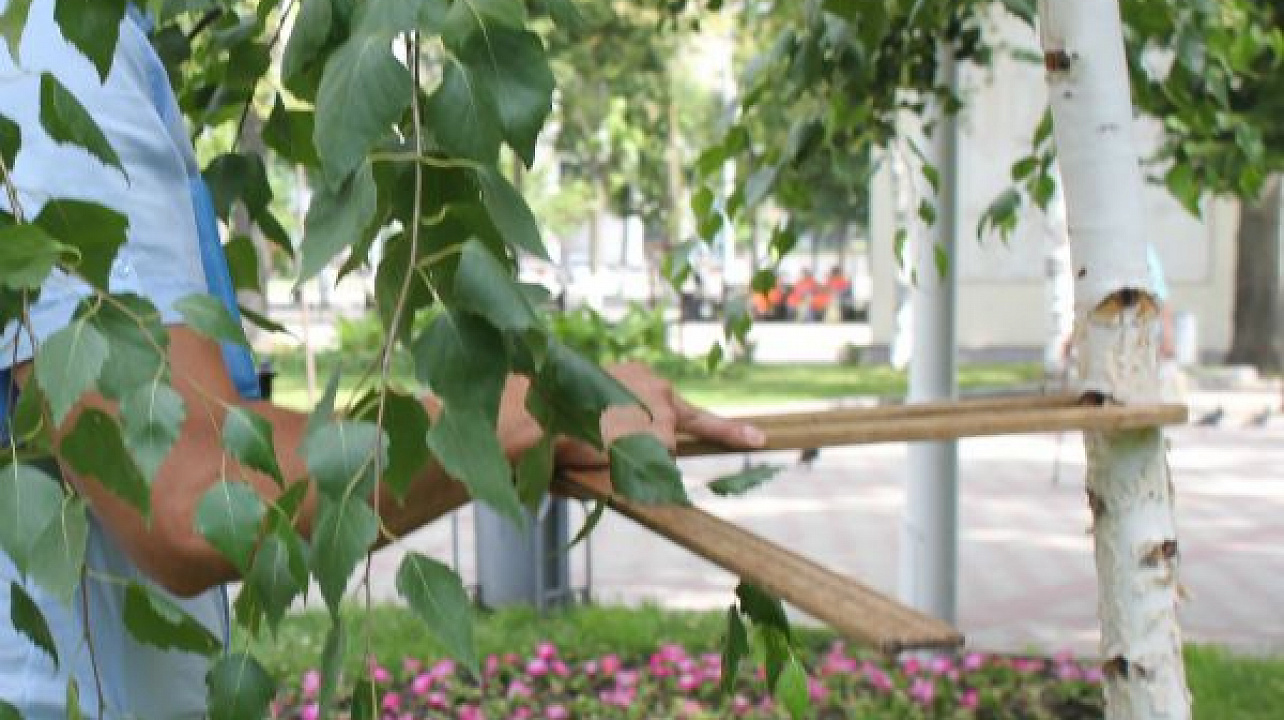 Фото: пресс-служба администрации Краснодара