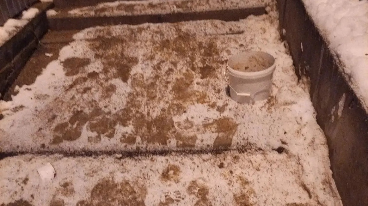 Фото: администрации Центрального округа