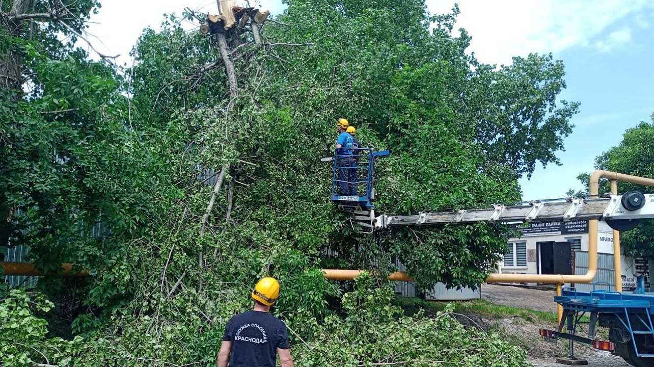 Фото: Пресс-служба администрации Краснодара