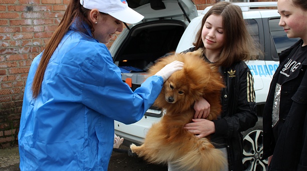 В Центральном округе прошла бесплатная вакцинация животных