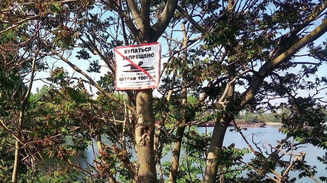 Купание в водоемах Центрального округа строго запрещено