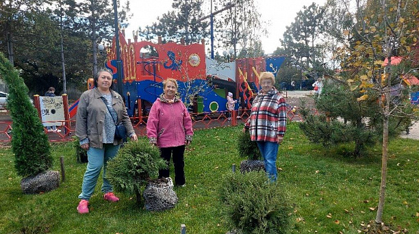 Рубрика - победители конкурсов на звание "Лучший орган территориального общественного самоуправления"