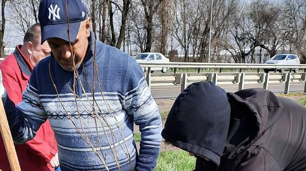 В Пашковском сельском округе продолжается озеленение территории 