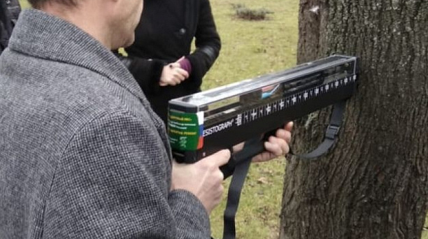 Для обследования деревьев в старых парках Краснодара закупят современный «Резистограф»