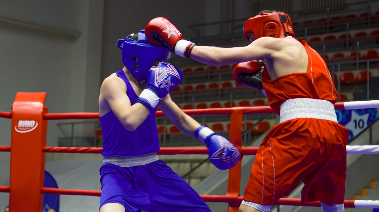 ФОТО: Полина Поцебнева