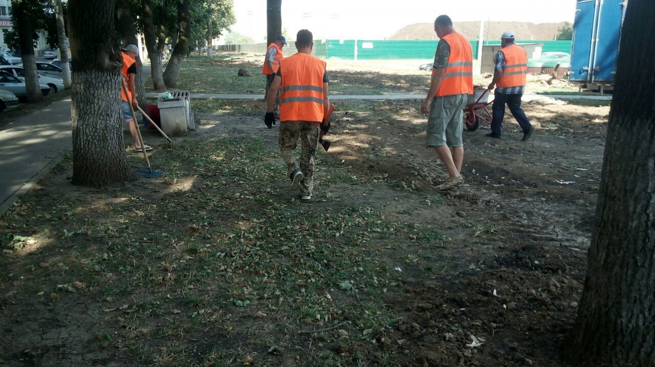 Жители избирательного округа № 19 провели санитарную пятницу на аллее вдоль ул. Им. Героя А.А. Аверкиева