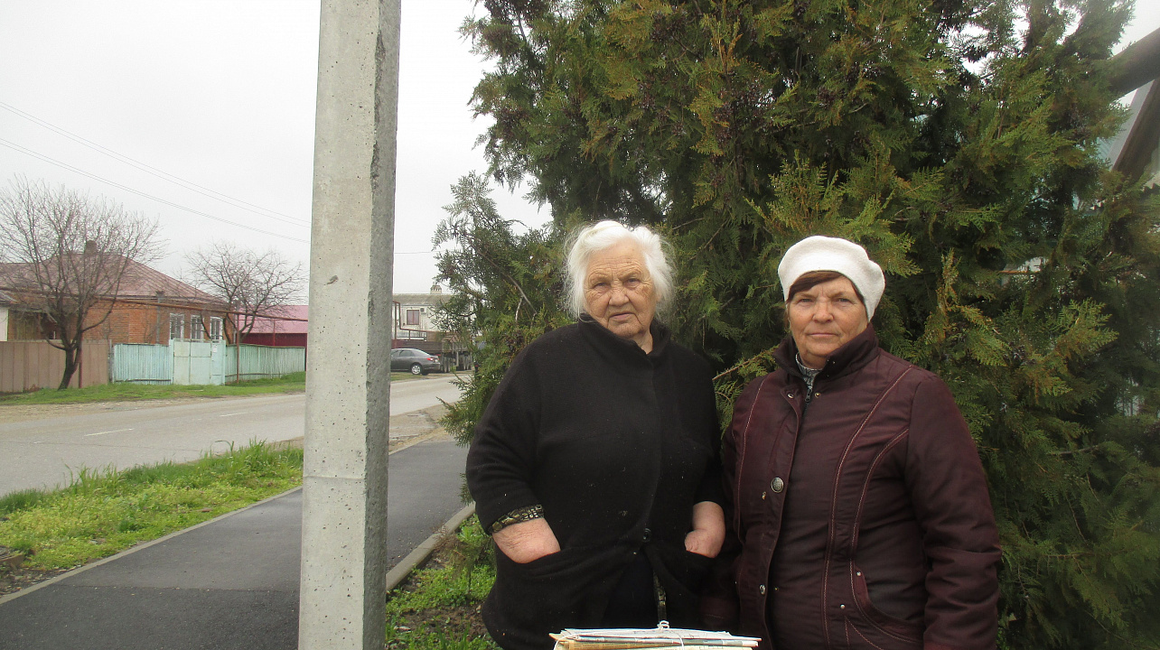 Сдай бумагу – спаси дерево!
