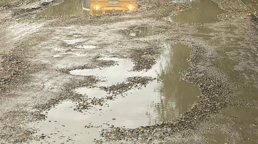 Фото: Шаблин М.С.