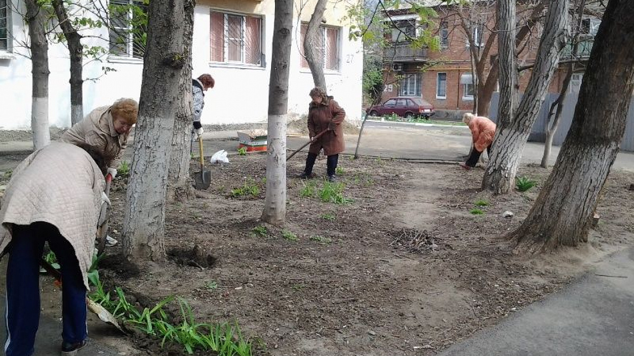 В Центральном округе проходят субботники