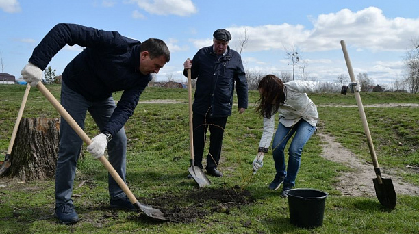 В Народном парке Краснодара заложили аллею «Атмосфера»