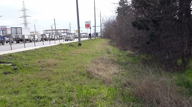 В рамках челленджа #trashtag в Краснодаре очистили от мусора участок Ростовского шоссе