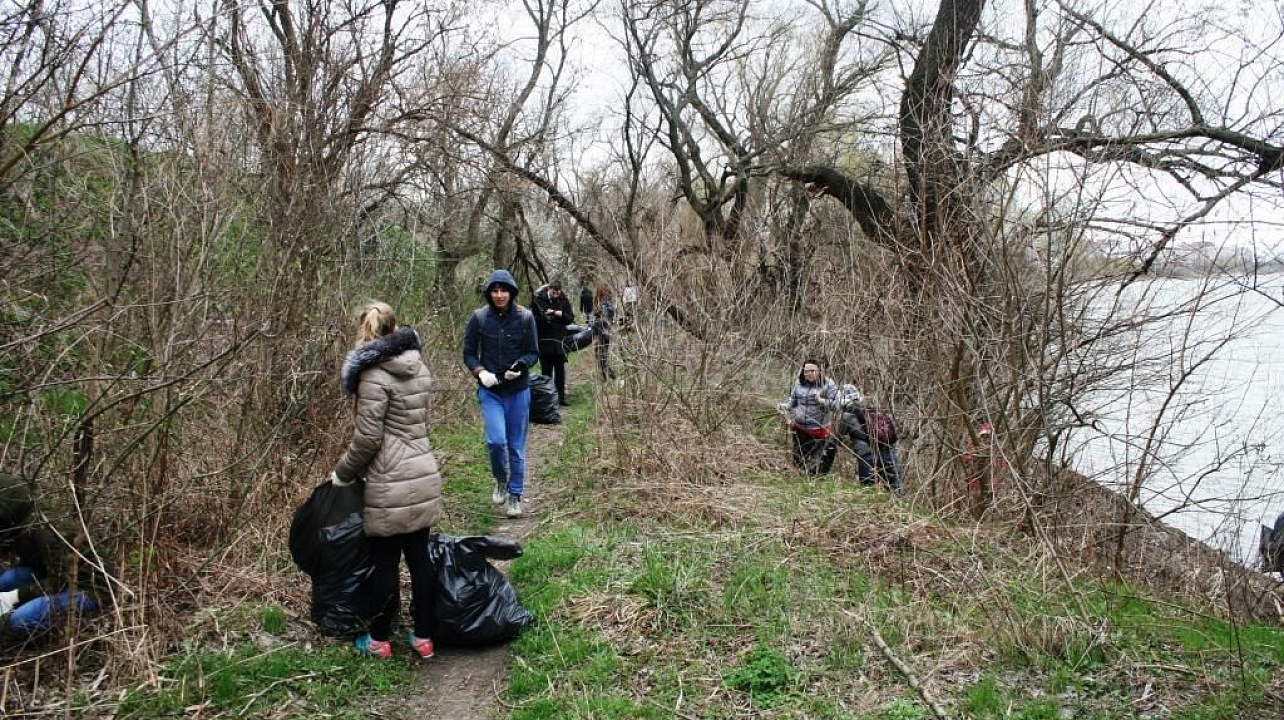 Студенты аграрного университета приняли участие в субботнике на берегу реки Кубань