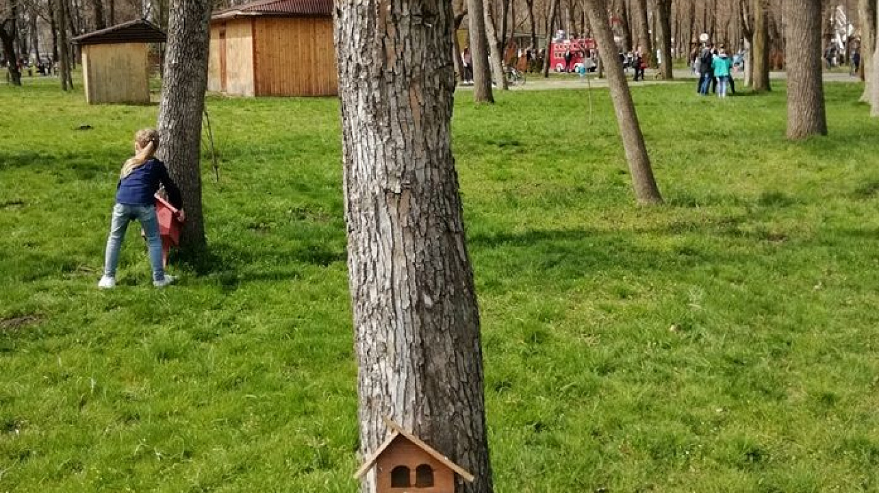 В Центральном округе отметили Международный день птиц