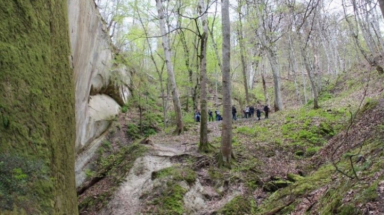 Социальный туризм развивается (4).jpg