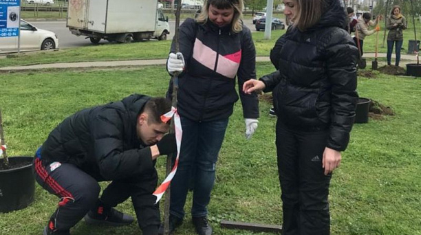 Сотрудники департамента архитектуры и градостроительства присоединились к челленджу «Краснодар — 10 тысяч деревьев»