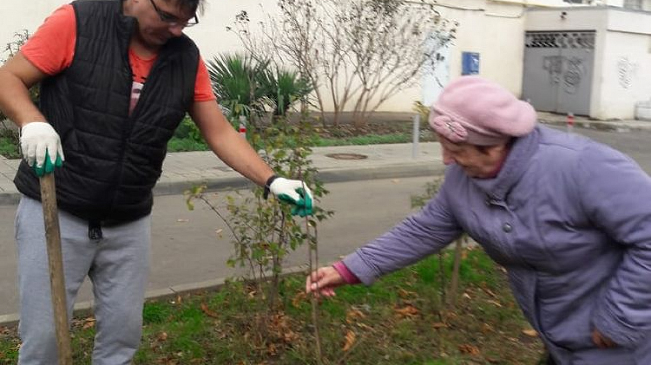 Более тысяча деревьев и кустарников высажена в Центральном округе