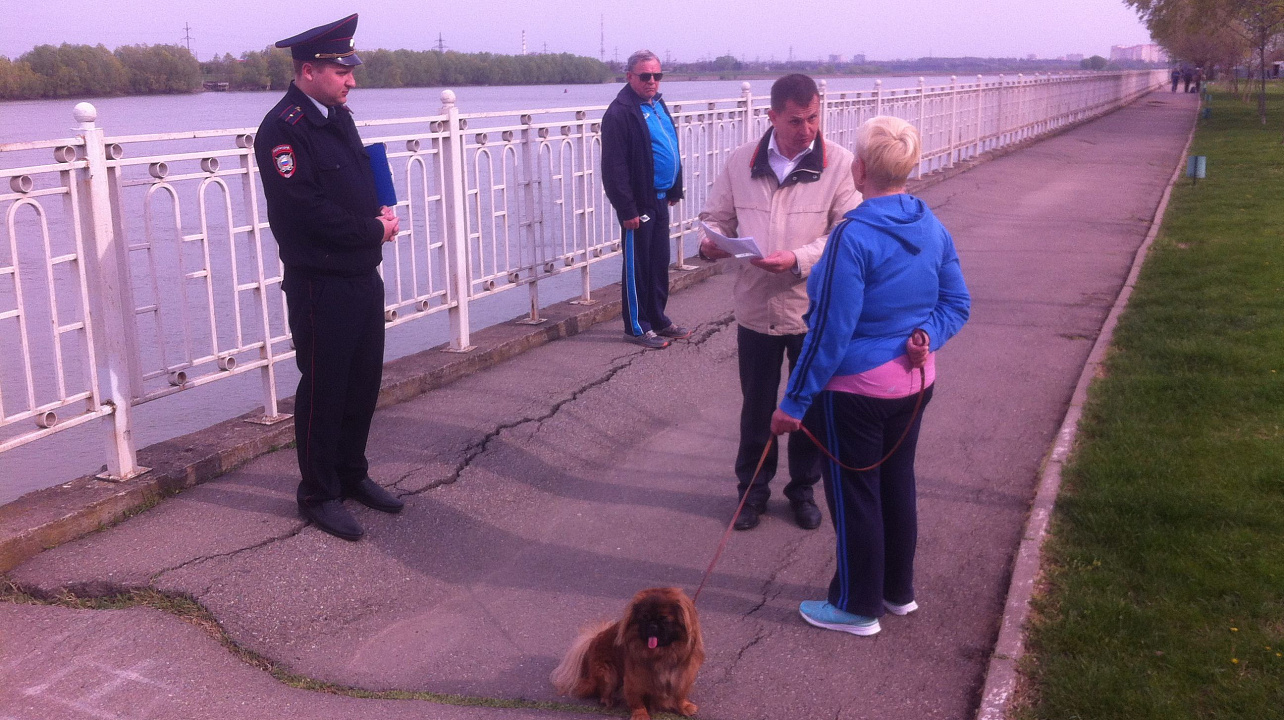 В Западном округе прошло рейдовое мероприятие по соблюдению правил содержания и выгула домашних животных