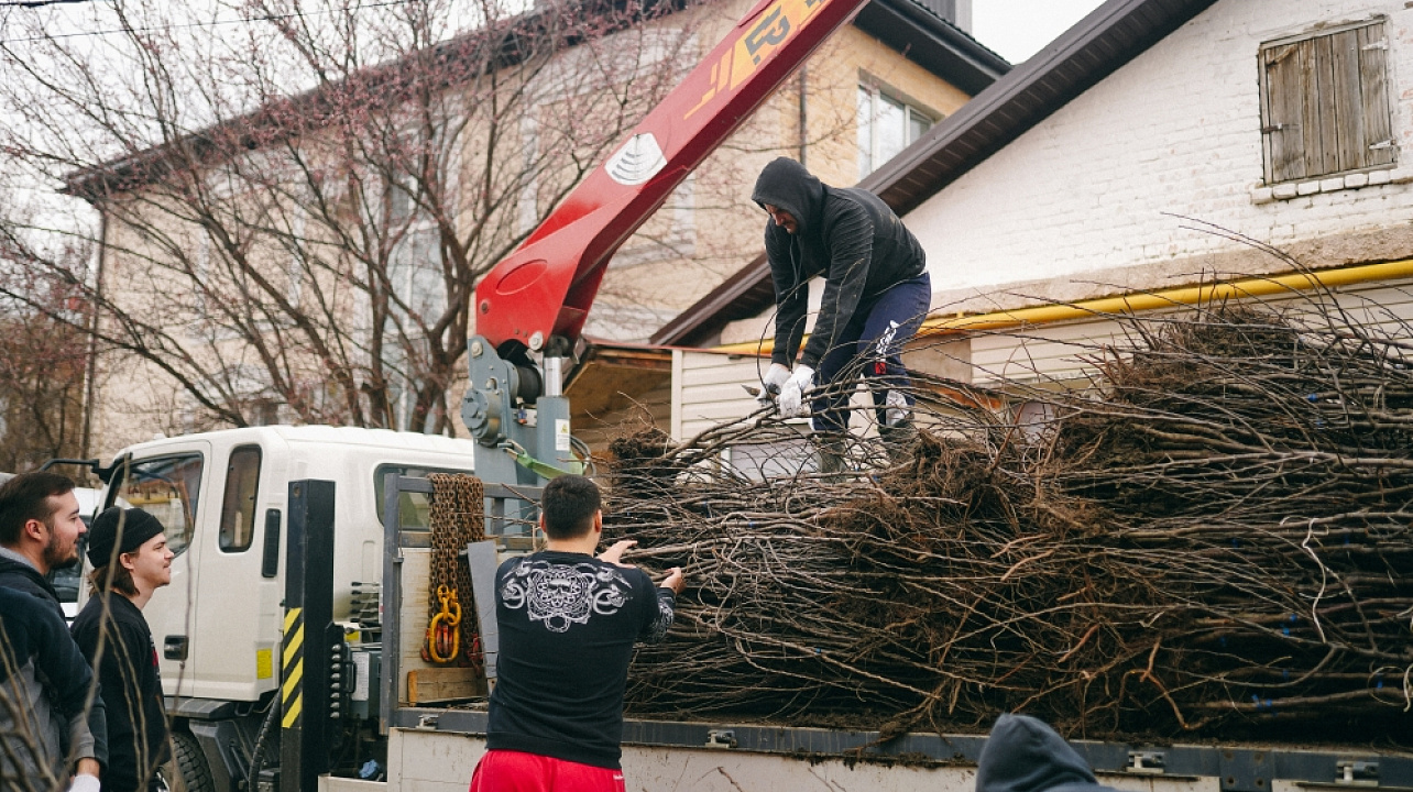 Фото: Дарья Паращенко