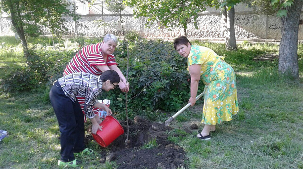 2500 деревьев высажено в Прикубанском округе в период проведения субботников