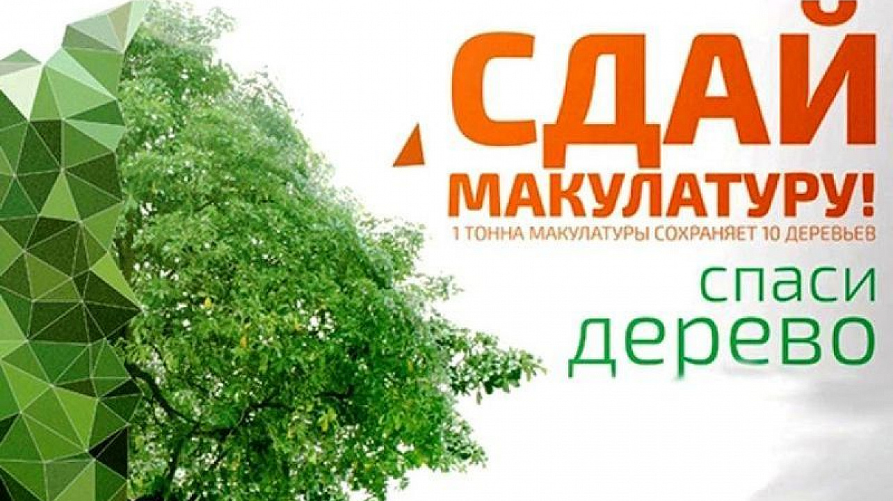 Краснодарцев приглашают принять участие в экомарафоне «Сдай макулатуру — спаси дерево»
