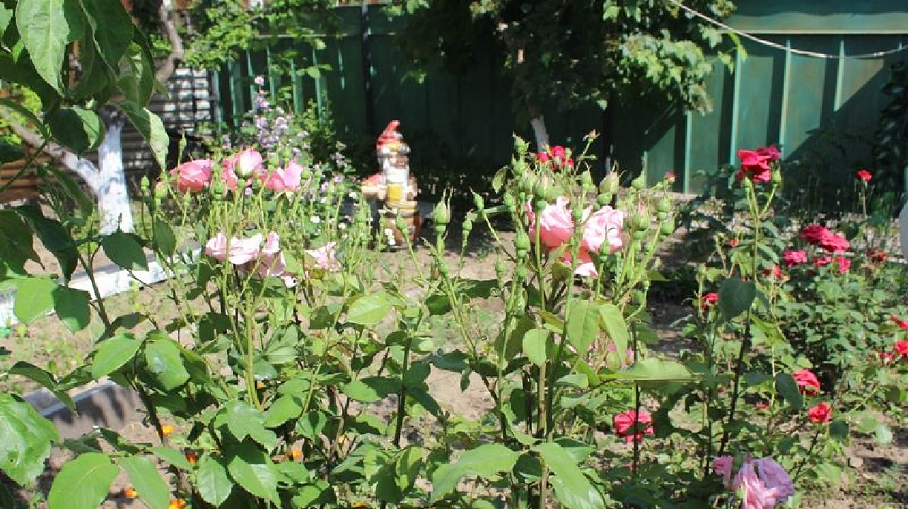 Центральный округ принял участие в городском конкурсе на лучший орган ТОС